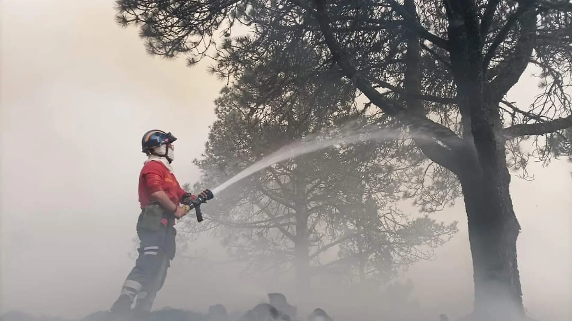 incendios forestales